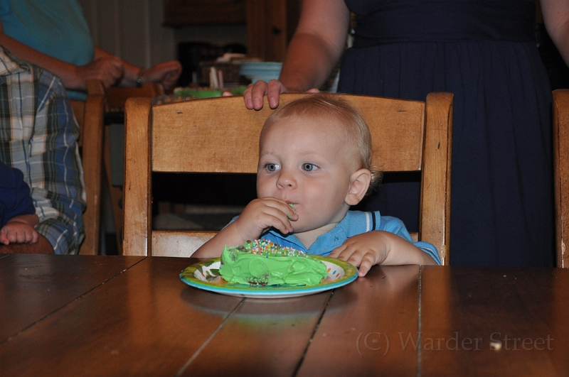 William's 2nd 1st Birthday Party 308.jpg